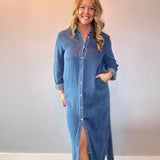 The Prairie Breeze Denim Maxi Dress