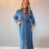 The Prairie Breeze Denim Maxi Dress