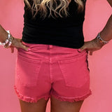 Jane High Rise Shorts in Watermelon