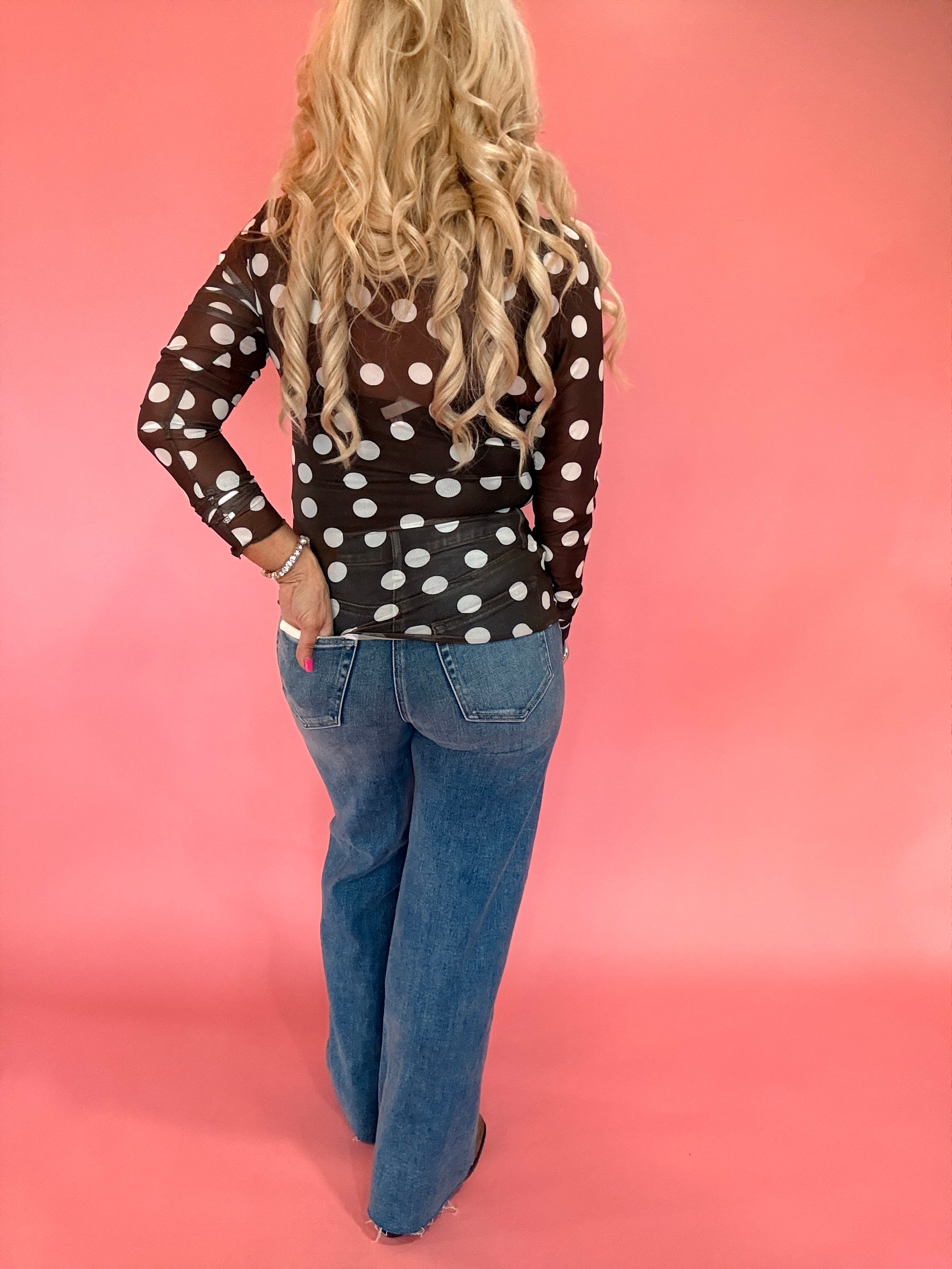 Polka Dot Mesh Long Sleeve Top in Brown