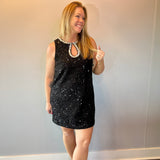 Shimmer & Shine Sequin Mini Dress in Black - Shabby 2 Chic Boutiques