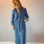 The Prairie Breeze Denim Maxi Dress