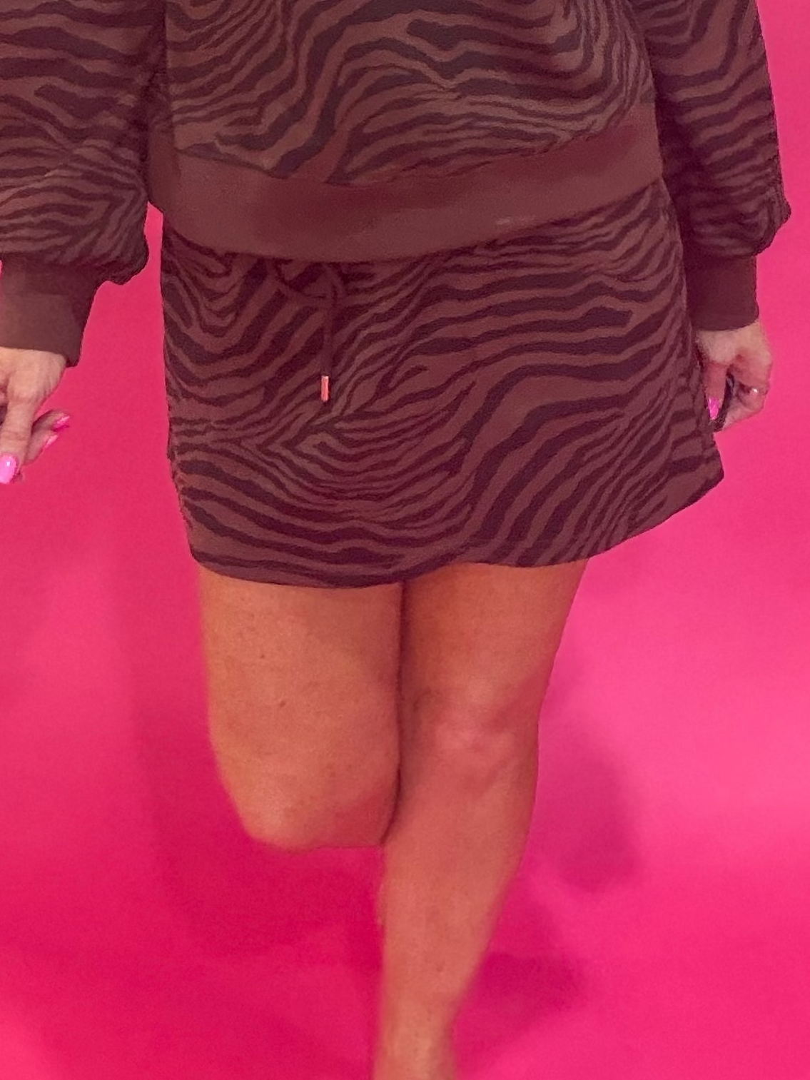 Wild Zebra Print Skirt in Brown Black