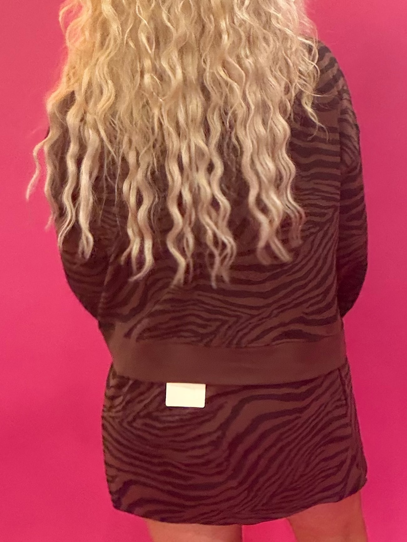 Wild Zebra Print Top in Brown Black