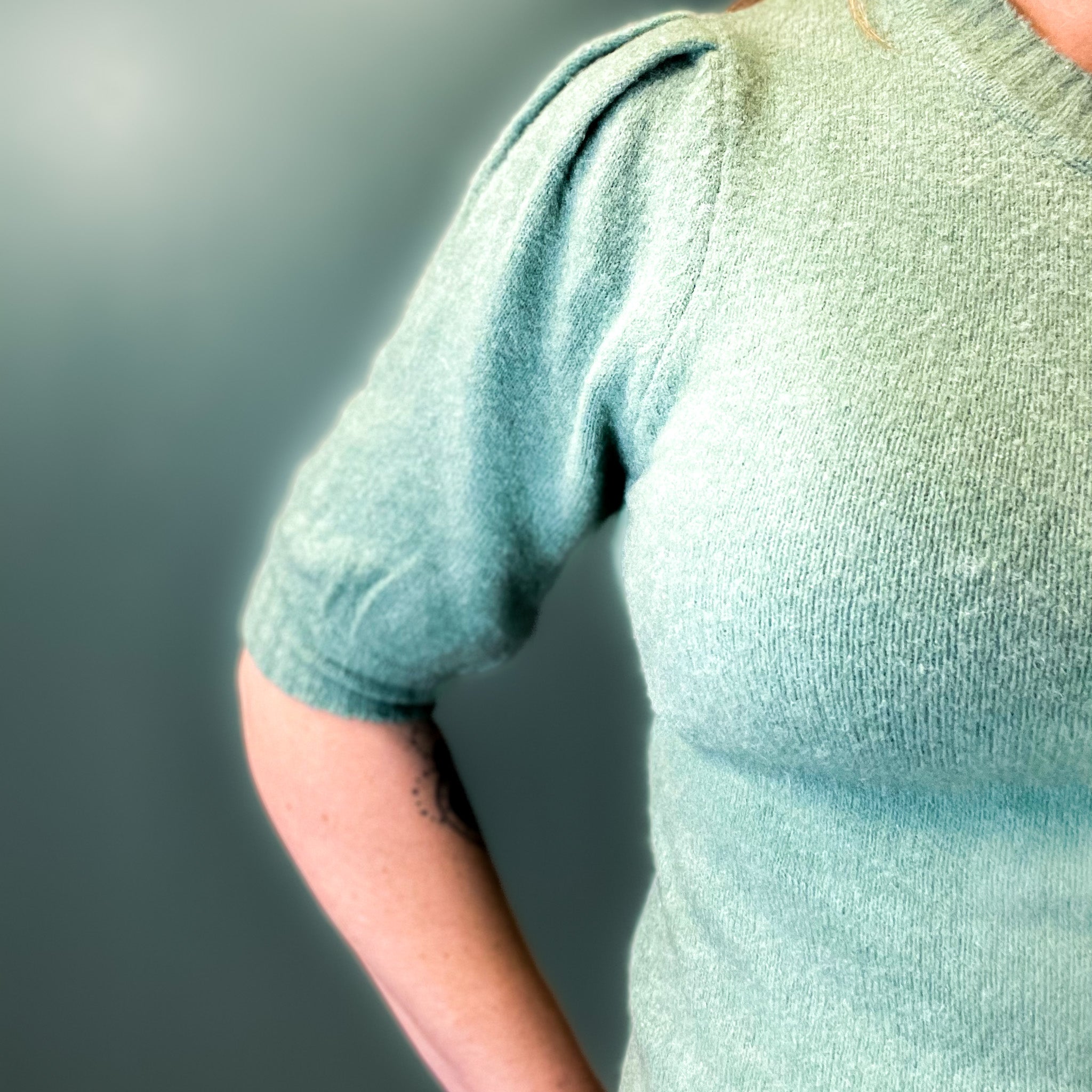 Cassandra Short Sleeve Sweater In Sage Green